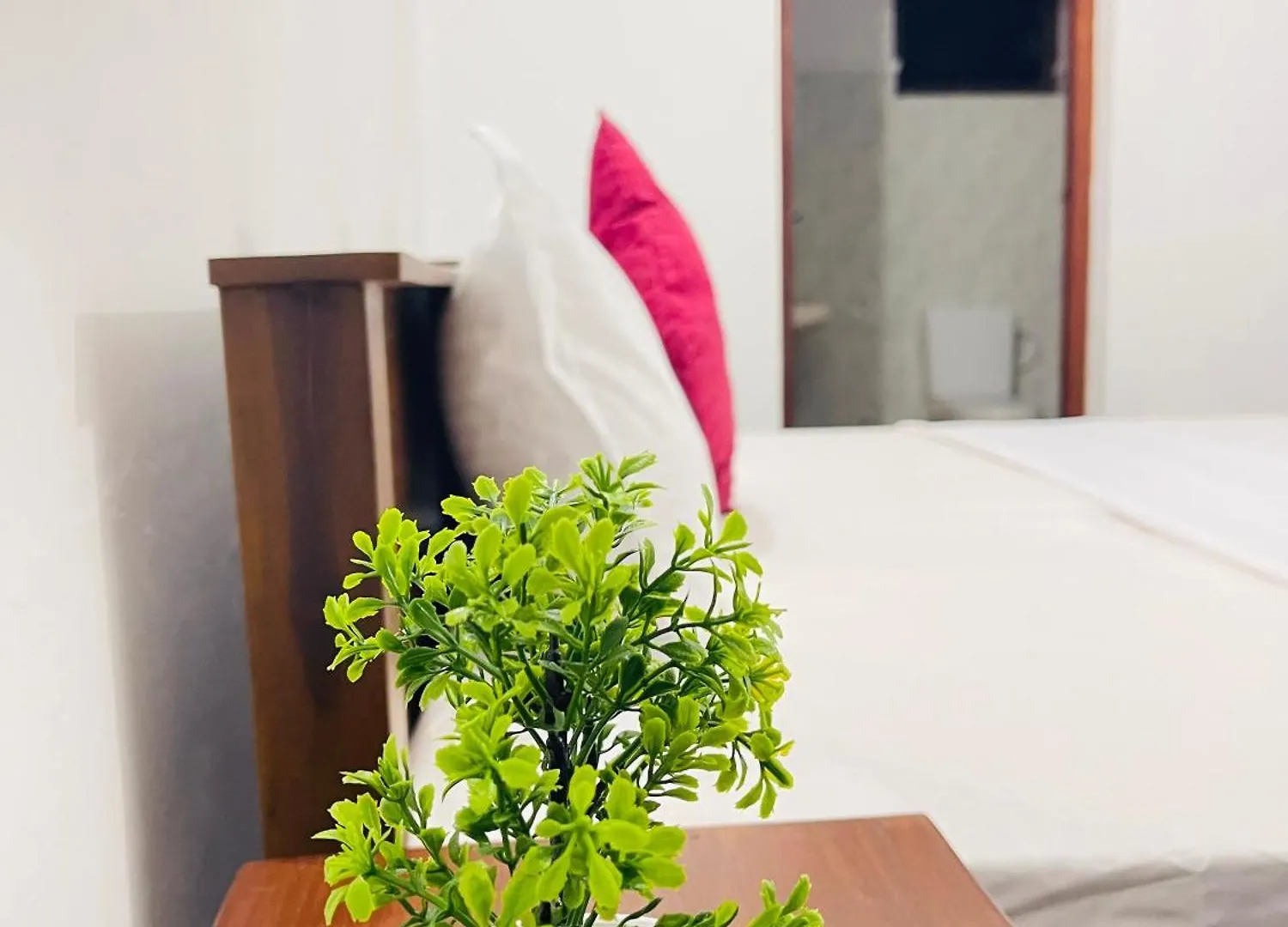 فندق Dreamy Heaven نيجومبو بيت ضيافة